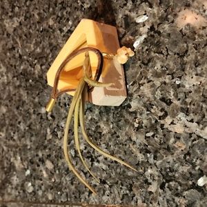 Wooden box Air plant and rock decoration.